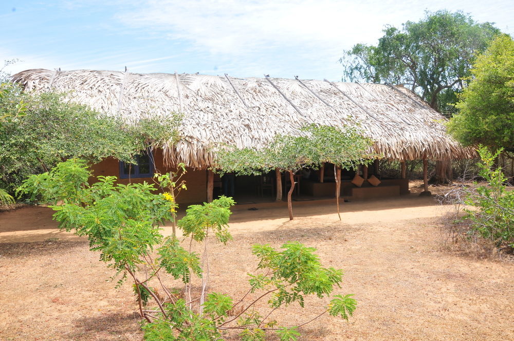 Back Of Beyond Dune Camp Yala Bagian luar foto