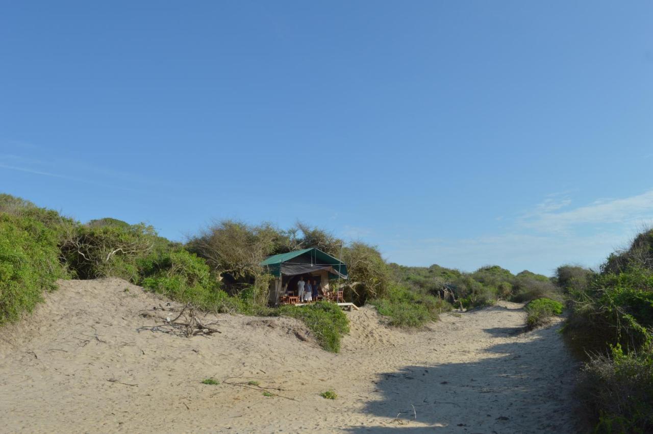 Back Of Beyond Dune Camp Yala Bagian luar foto